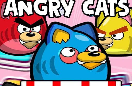 angry cats