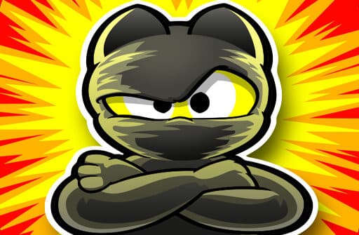 angry ninja hero