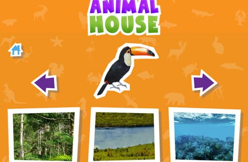 animal house game