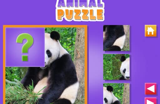 animal puzzle