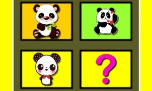 baby panda memory BMX Boy Online