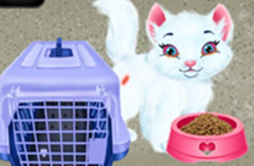 baby taylor pet care save cute animals