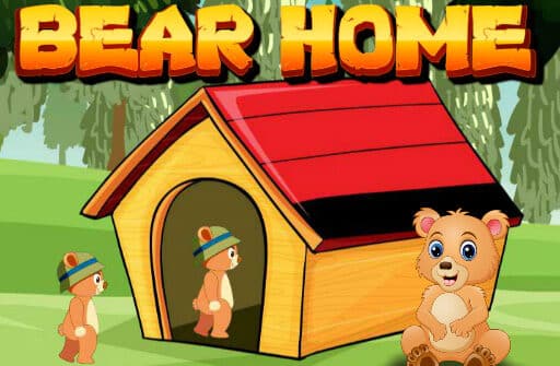 bear home