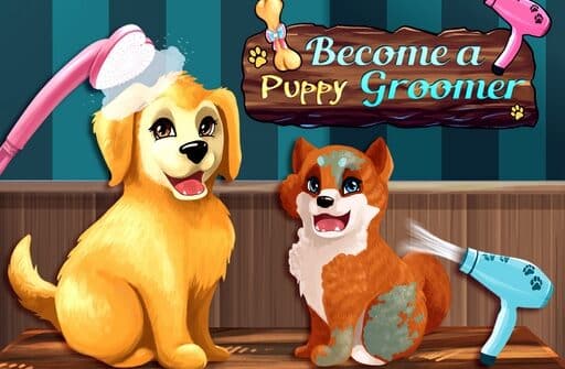 become a puppy groomer