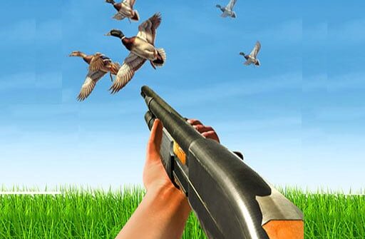 bird hunting gun fire shooter