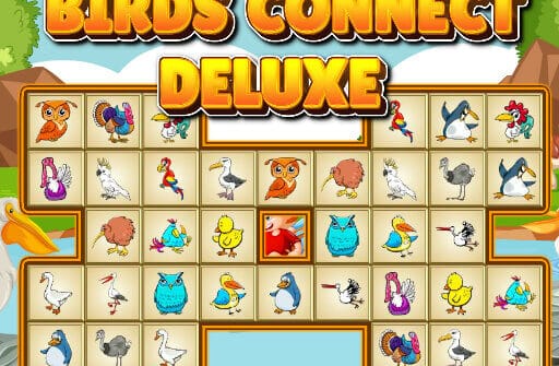 birds connect deluxe