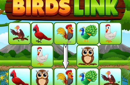 birds link