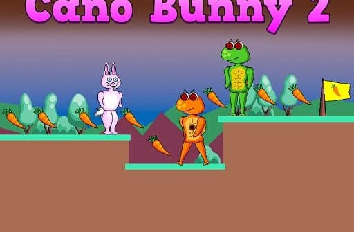 cano bunny 2