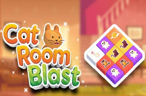 cat room blast