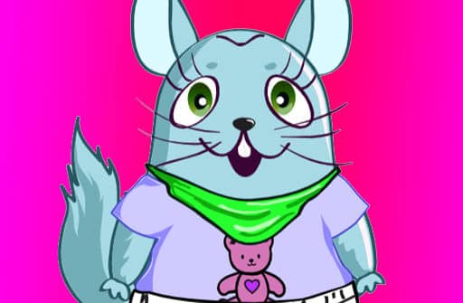 chinchilla dress up