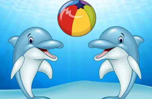 dolphin show