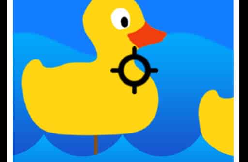 duck shooting game