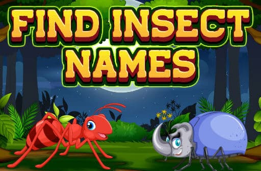 find insect names