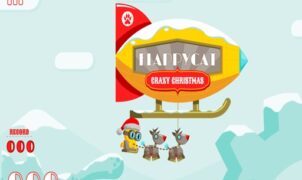 flappycat crazy christmas Baby Care Game