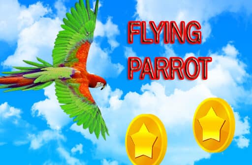 flying parrot