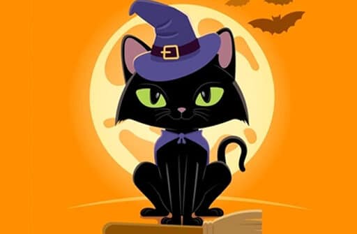 grumpy halloween cats jigsaw