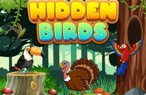 hidden birds