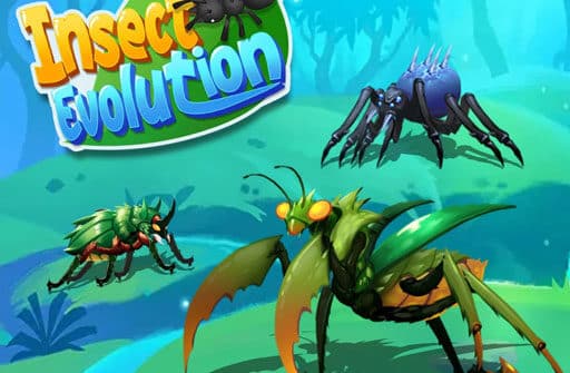 insect evolution