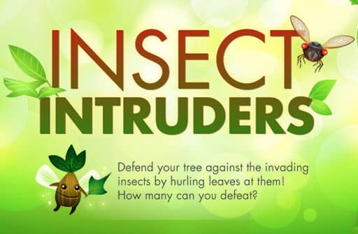 insect intruders