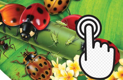 ladybug clicker