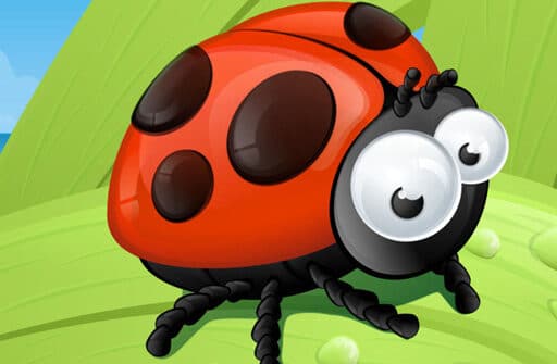 ladybug slide