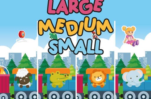 large medium small