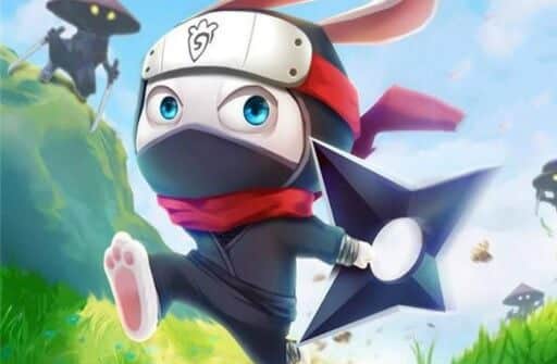 ninja rabbit