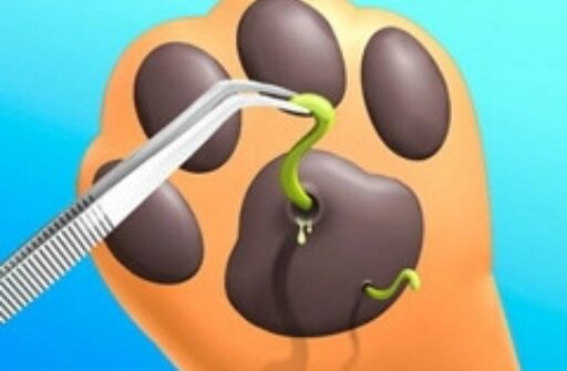 paw care 3d vet game