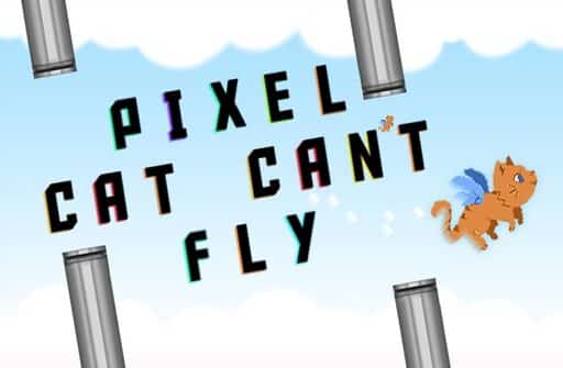 pixel cat cant fly