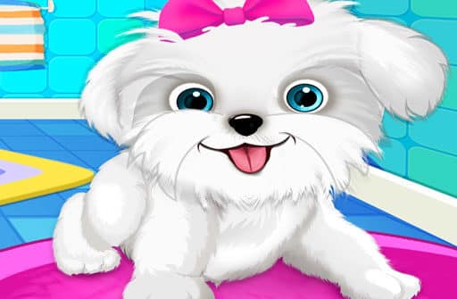 puppy pet salon dog daycare