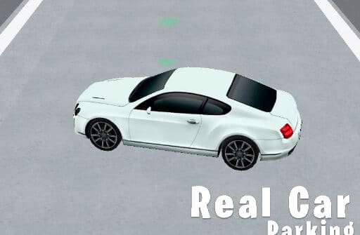 real car parking 3d