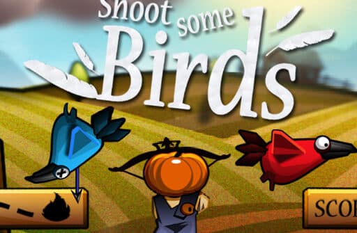 shoot some birds