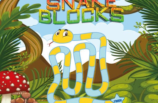 snake blocks