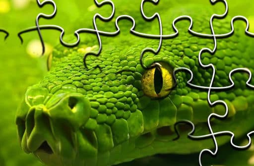 snakes jigsaw puzzle