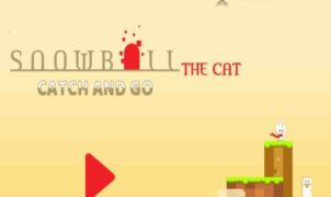 snowball the cat catch and go Sweet Boom