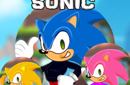 sonic dress up