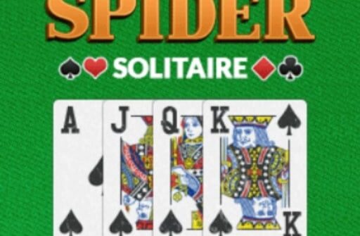 spider solitaire pro