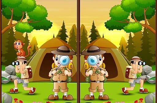 spot 5 differences camping