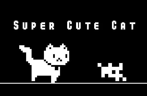 super cute cat