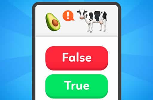 true false quiz